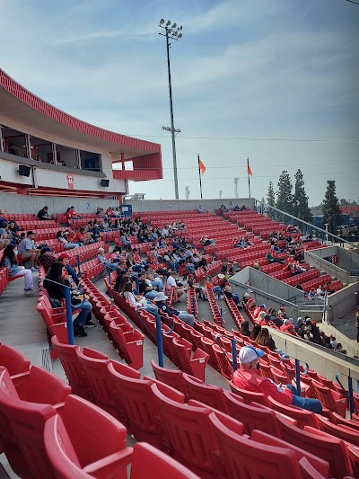 Margie Wright Diamond photo 5