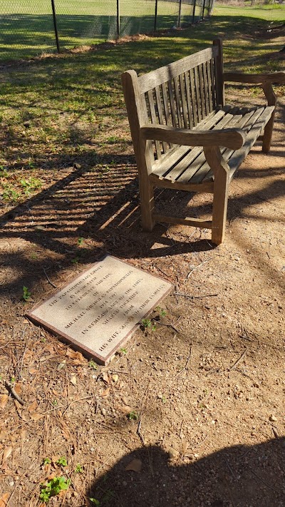 Memorial Park Softball Field 2