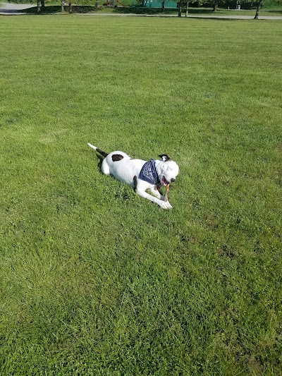 Minniti Field photo 2