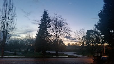 Minniti Field photo 4