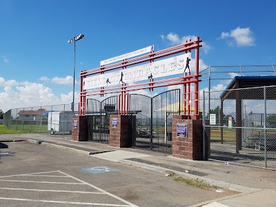 Miracle League Baseball field photo 3