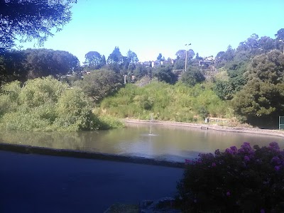 Montclair Recreation Center photo 3