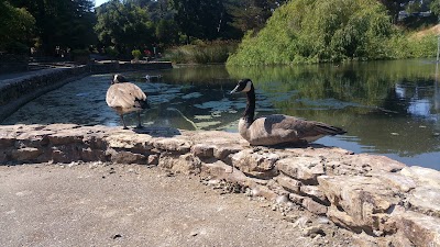 Montclair Recreation Center photo 4