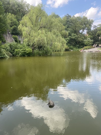 Morningside Park Softball Field 2 photo 3