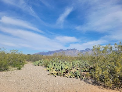 Morris K Udall Park and Recreation Center photo 5