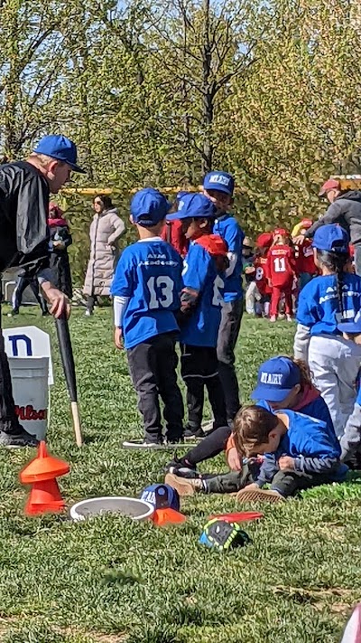 Mt Airy Baseball Field photo 3
