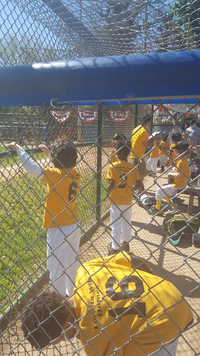 Mt Airy Baseball Field photo 4