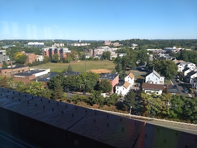 Murray Field photo 4