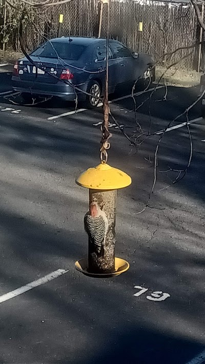 Murray Field photo 5