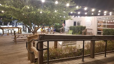 Nashville Sports Leagues photo 5