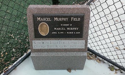 Near West Little League photo 2