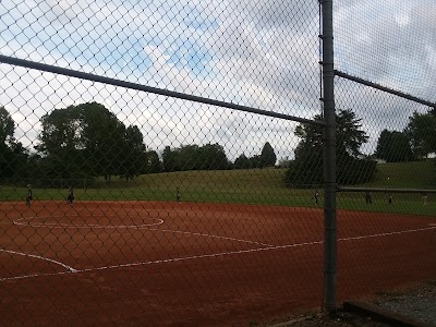 Nicholas Ball Park photo 4