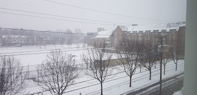 Nobby's Ballpark photo 2