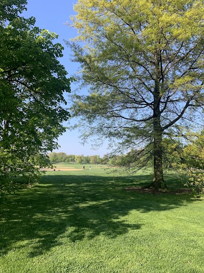 North Meadow Softball Field 12