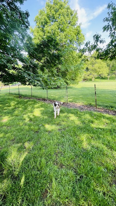 North Meadow Softball Field 7 photo 4