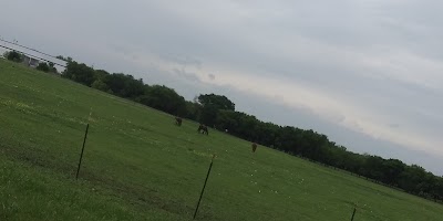 North Park Adult Softball Fields photo 2