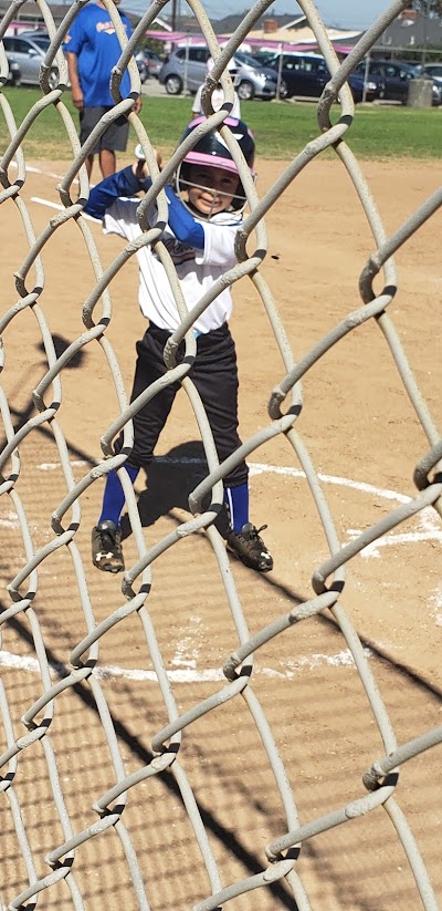 North Torrance Girls Softball League photo 4