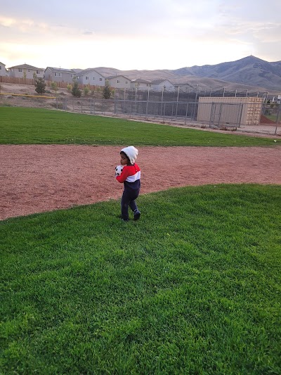 North Valleys Regional Park Baseball Fields photo 5