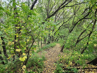 Northeast Athletic Field Park photo 5