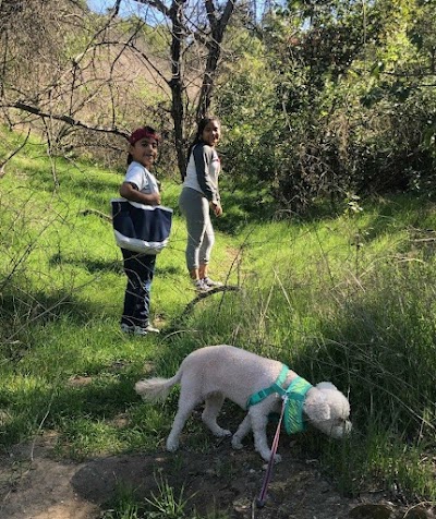 Northeast Los Angeles Little League photo 4