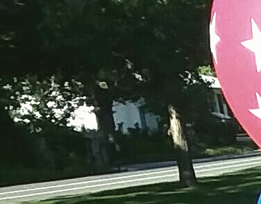 Oakhills Baseball Diamonds photo 2