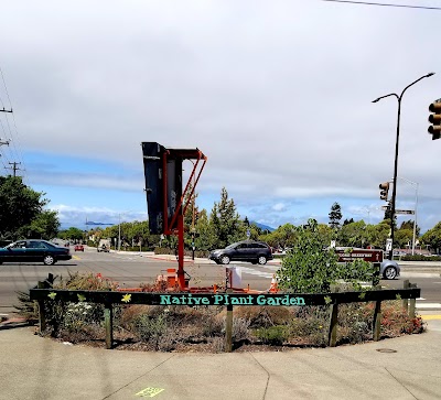 Ohlone Park Softball Field photo 2