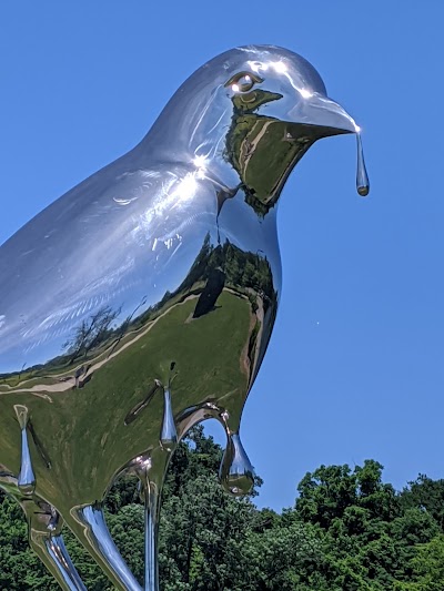 Old Timers Baseball Complex/Mickey Hiter Field at Shelby Park photo 5