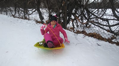 Palmer Park Softball Field photo 3