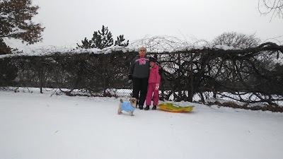 Palmer Park Softball Field photo 4