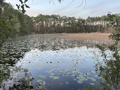 Palmetto Leaves Regional Park - Baseball Field