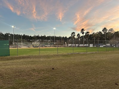 Palmetto Leaves Regional Park - Baseball Field photo 4
