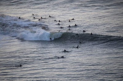 Paul Goode Field photo 4