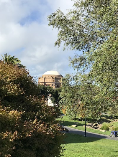 Paul Goode Field photo 5