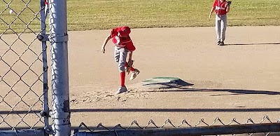 Peck Athletic Fields photo 3