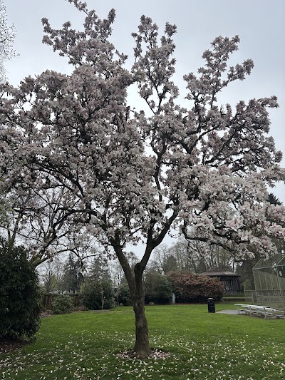 Peninsula Park Softball Field photo 4