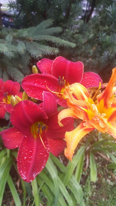 Pershing Field Park photo 3