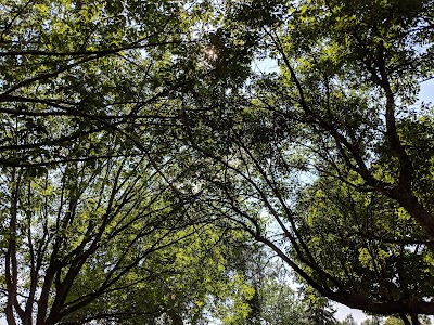 Pershing Field Park photo 4