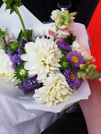 Pierce College Home Field @ Fort Steilacoom Park photo 4