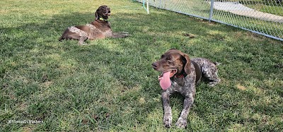 Pierson Field photo 3