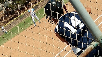 Power Surge Softball photo 4