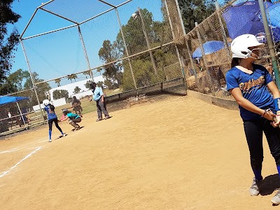 Power Surge Softball photo 5