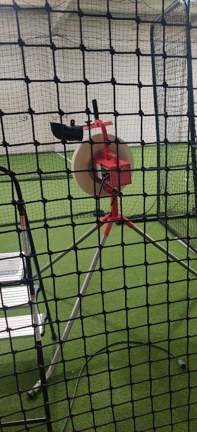 PRO STRIKERS photo 4