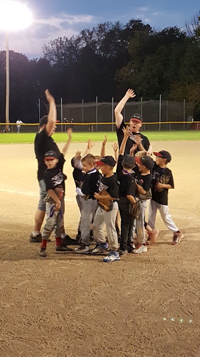 PYAA Baseball Fields photo 4