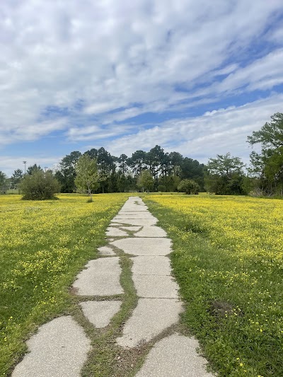 Quad Field 3 photo 2