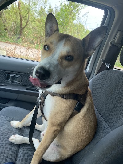 Quad Field 3 photo 5