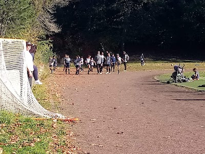 Queen Anne Bowl Playfield photo 2
