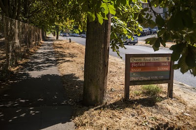Queen Anne Bowl Playfield photo 4