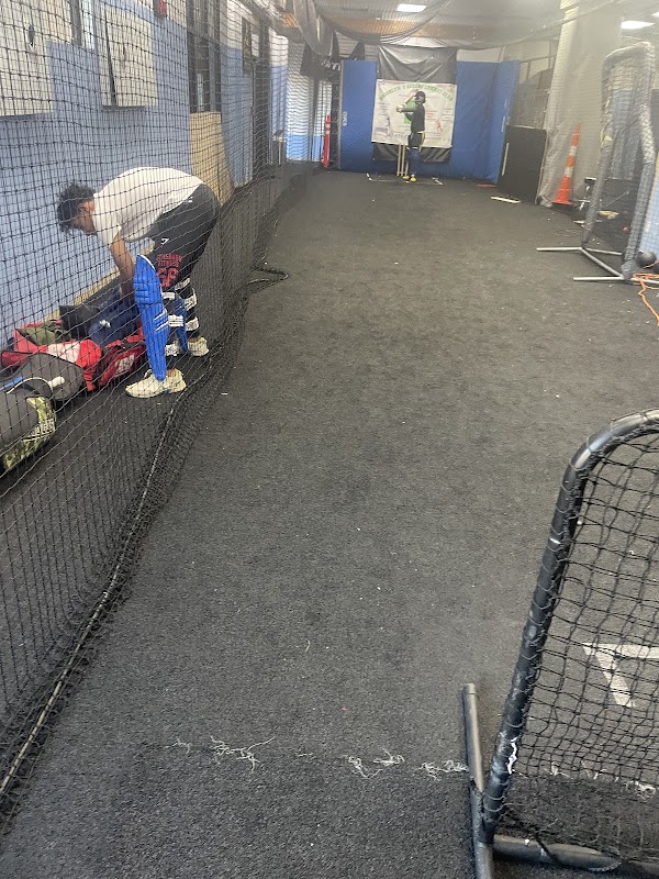 Queens Cages photo 4