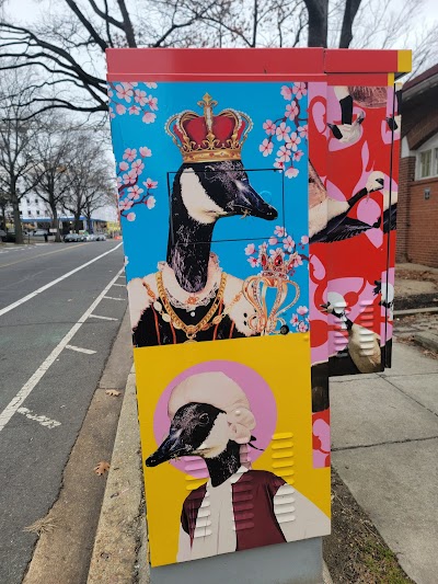 Randall Field photo 3