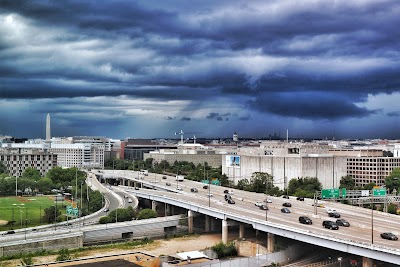 Randall Field photo 4